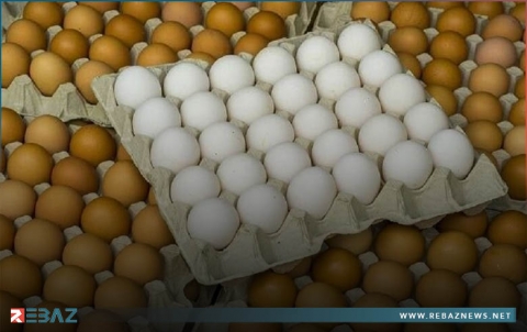 كيف نختار بيض الطعام؟