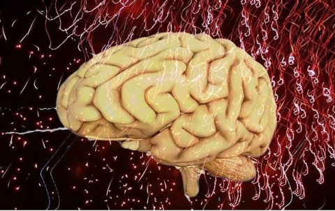 5 ممارسات لتحسين عمل الدماغ