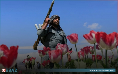 إيران تدعو أوروبا إلى دفع تكاليف مكافحة ترانزيت المخدرات القادمة من أفغانستان