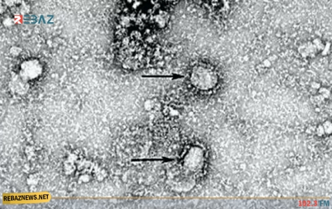 اختبأ لسنوات على الأرض... دراسة تقلب الموازين حول منشأ فيروس كورونا وتبرأ الصين
