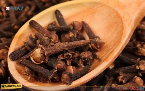 فوائد القرنفل الذهبية لصحة الإنسان