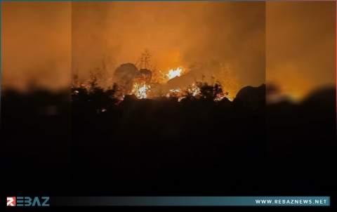 اندلاع الحرائق في أحراش إحدى نواحي مدينة عفرين 