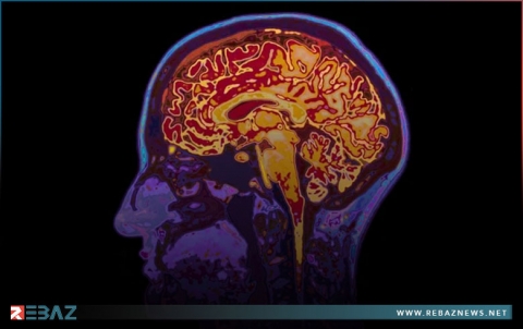 الذكريات المنسية للأحداث الصادمة تحظى ببعض الدعم من دراسات قائمة على تصوير الدماغ