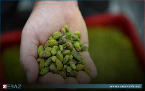 6 آثار سلبية 