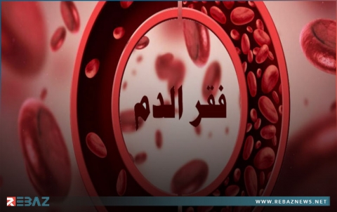 كل ما تريدين معرفته عن 