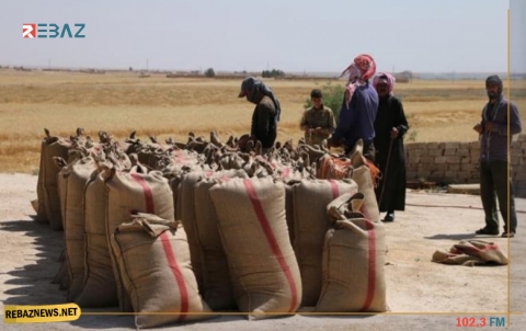 النظام يقتطع ديونه من مزارعي الحسكة