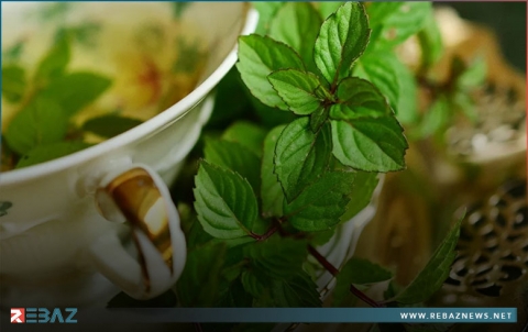 منها مواجهة السرطان... فوائد مذهلة تحققها 5 مشروبات عشبية مغلية