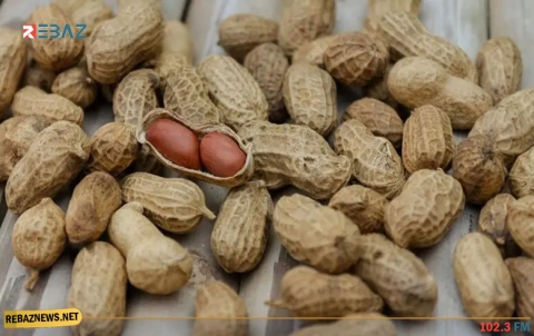 الفول السوداني يساعد في إنقاص الوزن