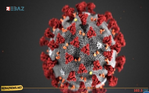 فريق أبحاث إيطالي يعلن المفاجأة بشأن مصدر الفيروس القاتل