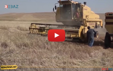 استمرار ظاهرة حرق محاصيل الفلاحين في كوردستان سوريا