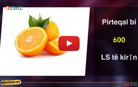 غلاء أسعار المواد الغذائية في كوردستان سوريا