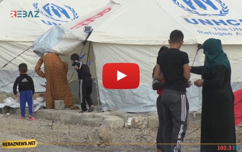 عدد لاجئي كوردستان سوريا في إقليم كوردستان (تشرين الثاني 2019)