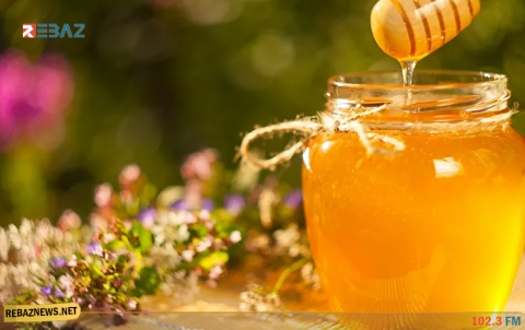 علماء: العسل يتفوق على المضادات الحيوية في علاج هذه الأمراض
