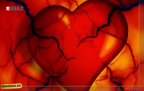 علماء ألمان: القلب يمتلك حاسة 