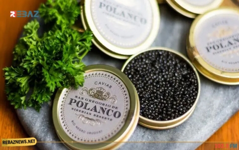 تعرّفي على فوائد الكافيار الجمالية وخاصة للعيون