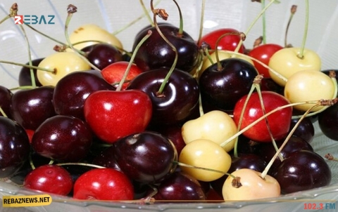 لماذا نجنب الأطفال تناول ثمار الكرز؟