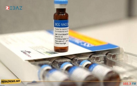 تجارب على لقاح ضد مرض السل لهزيمة كورونا