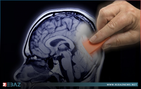 العلماء يكتشفون بروتينا يمكن أن يساعد الناس على محو الذكريات السيئة