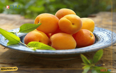 أطباء القلب ينصحون بالإقبال على تناول المشمش
