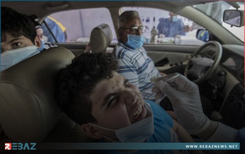 مصر تحسم جدل استخدام 