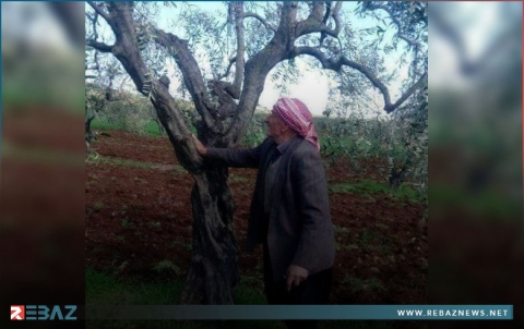 بالرغم من امتناع الـ ب ي د... 150 عائلة يعودون إلى عفرين