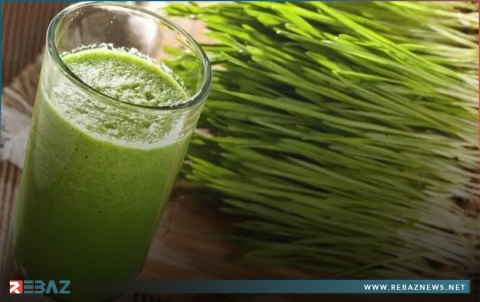 ماذا تعرف عن فوائد عشبة القمح ؟