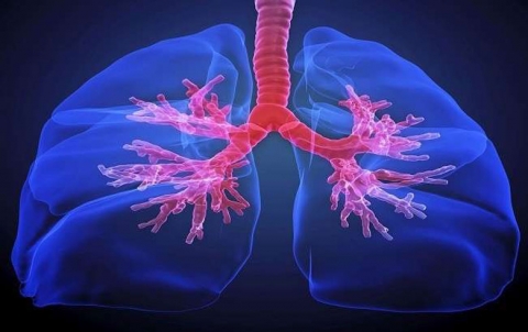 رئة الإنسان توحي بابتكار يحول الماء إلى وقود!