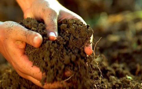 معلومة غريبة جداً عن التراب والسمنة!