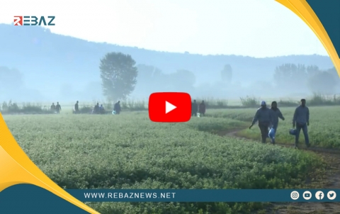Ajansa Penaberiyê ya Oropî: Hejmara Penaxwazan gihiştiye bilindtirîn asta xwe