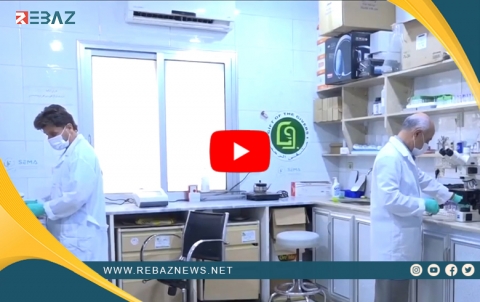 Belavbûna zêde ya kolêrayê li navçeyên bakurê rojavayê Sûriyê