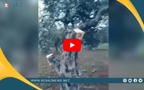 Binpêkirinên Girûpên çekdar li bajarê Efrînê berdewam in