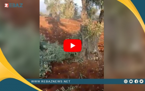 Binpêkirinên nû yên girûpên çekdar li Efrînê encam dan