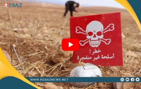 Dawîn amarên qurbaniyên paşmayên şer li Sûriyê