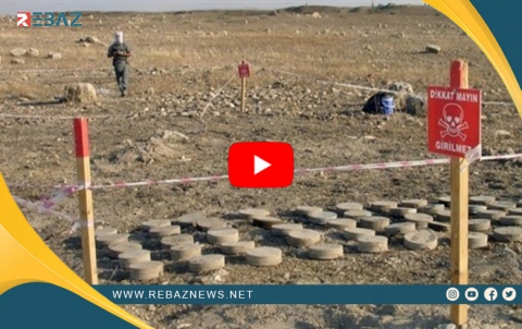Rewangeha Sûrî dawîn amarên qurbaniyên paşmayên şer li Sûriyê diyar dike