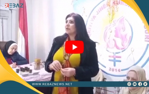 YJK-S rûniştineke gengeşeyî li ser tundûtujiya Elektronî  li dijî jinê li dar xist