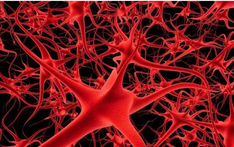 دواء جديد ينقذ الذاكرة من الاكتئاب وأمراض الشيخوخة