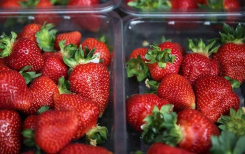 10 أطعمة لا غنى عنها لمن تجاوزوا الخمسين