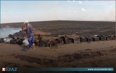 خسر آلاف الدولارات.. مربٍ يفقد خلايا نحله في ريف ديرك