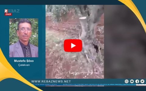 ‏Mustefa Şêxo: Roj bi roj binpêkirinên Girûpên Çekdar li bajarê Efrînê zêde dibin.
