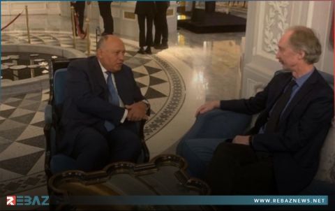 وزير الخارجية المصري يؤكد ضرورة دفع الحل السياسي في سوريا
