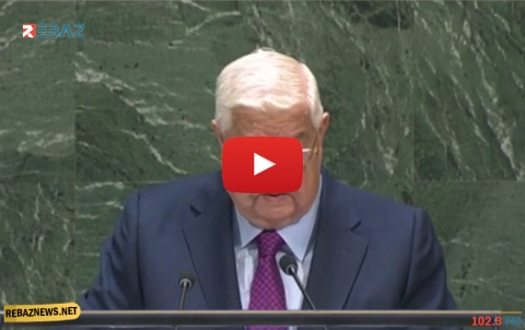 المعلم يوضح وجهة نظر النظام حول الدستور