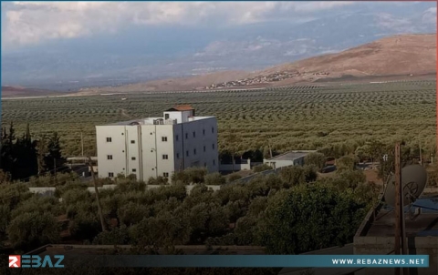 الفصائل المسلحة تفرض إتاوات كبيرة على الكورد في موسم الزيتون 