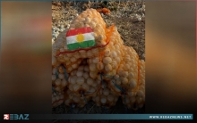 إقليم كوردستان يصدر إقليم كوردستان يصدر