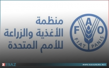 الفاو: أسعار الغذاء قفزت إلى أعلى مستوى منذ أواخر 2022 