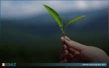 لماذا المر أفضل... 5 أطعمة مرة يجب أن تدرجها في نظامك الغذائي