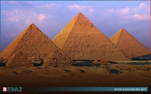 دراسة تكشف سر صمود 