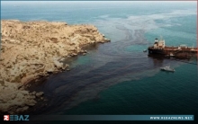 شركة شركة