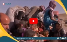 الذكرى السنوية السابعة لتحرير شنكال