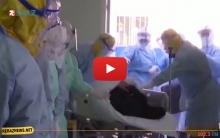 آخر تطورات وإحصائيات كورونا 31-03-2020