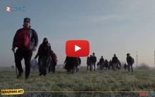 تركيا تكشف عدد اللاجئين المغادرين إلى اليونان